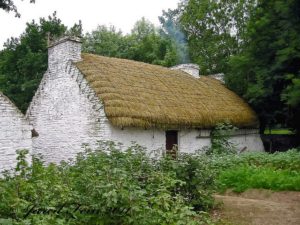 history of thatched roofs