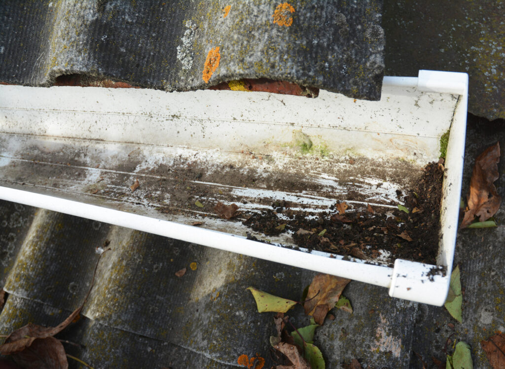 Clogged Gutters and Downspouts