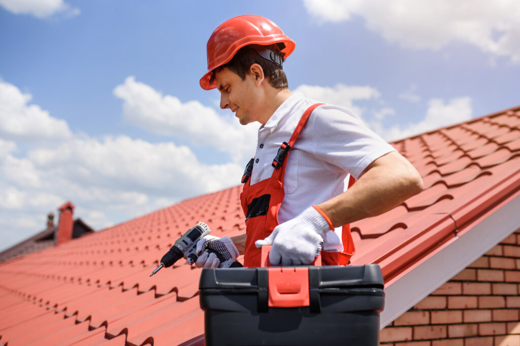 Maintenance Service for Roofs