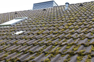 Roof Moss or Algae Removal