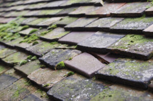 What are the Signs of Roof Rot or Decay