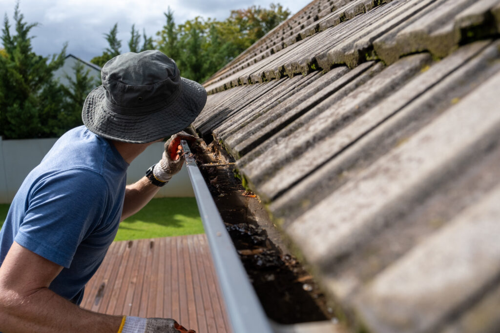 What Causes the Roof to Rot