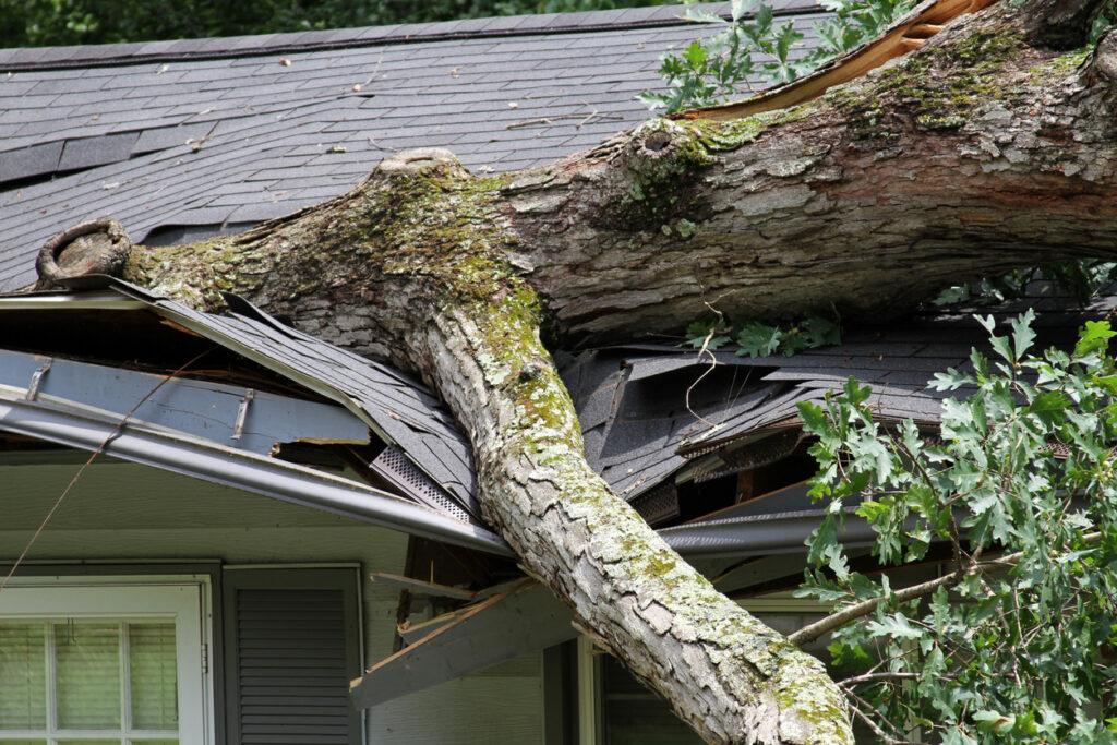 Roof Storm Damage Assessment