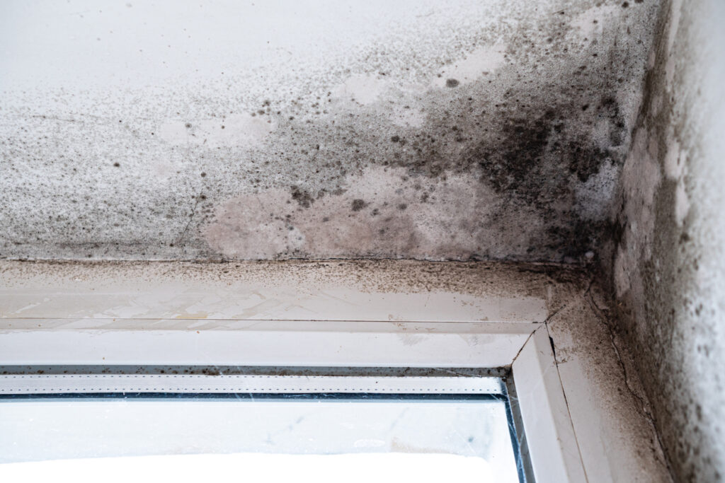 Signs that Insulation Needs to be Changed or Replaced