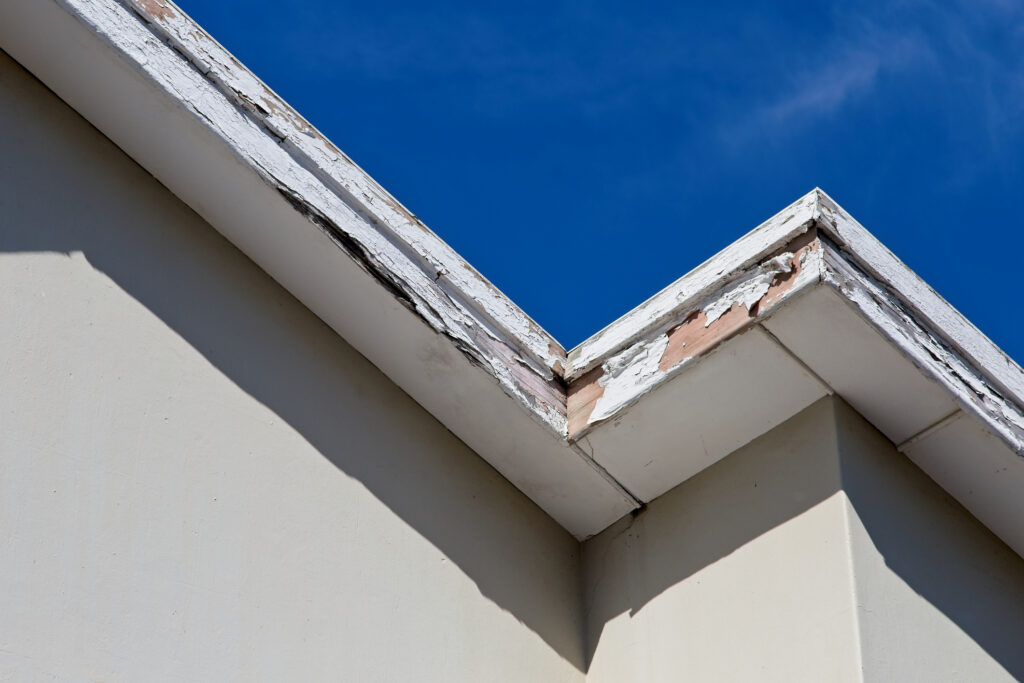 Signs of Roof drip damage